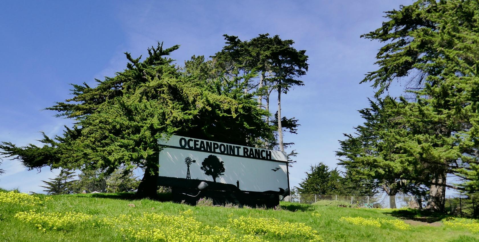 Hotel Oceanpoint Ranch à Cambria Extérieur photo